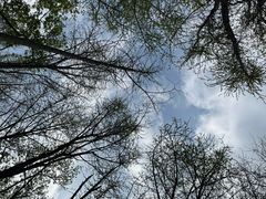 -莫愁湖公园