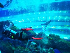 -成都浩海立方海洋公园