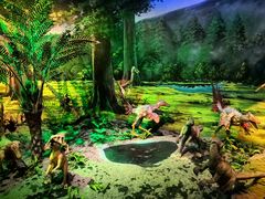 -安徽省地质博物馆