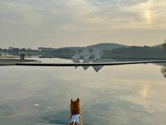 -上海月湖雕塑公园