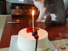 -派悦坊·甜品·蛋糕(日坛店)