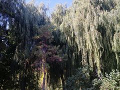 -长春公园(普阳街道)