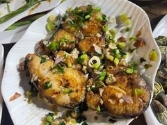 香煎马胶鱼-四季美蚝皇