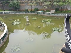 -碧江金楼