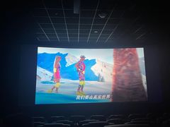 -华美国际影城(旧宫永辉店)