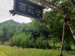 -参仙谷生态旅游度假区