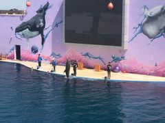 -北戴河圣蓝海洋公园