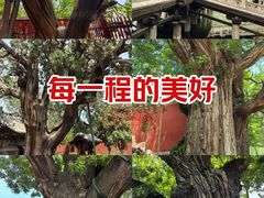 -晋祠公园