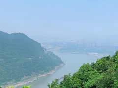 -铁山坪森林公园