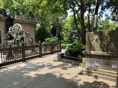 -紫金山天文台