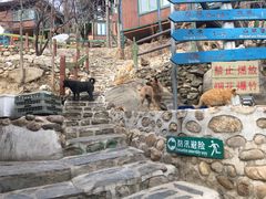 -北京水岸山吧度假村(雁栖镇店)