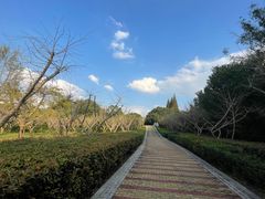 -同里国家湿地公园