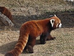 -水上乐园·欢乐世界