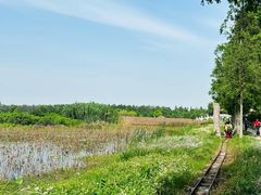 -洪湖生态旅游区