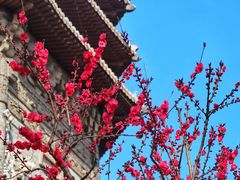 -玲珑塔公园