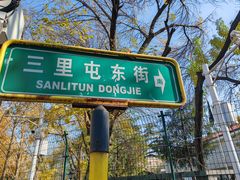-三里屯东五街银杏大道