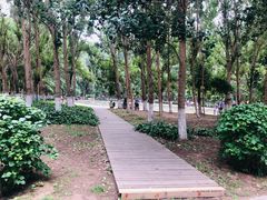 -长白岛森林公园