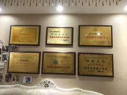 -再清椿美容