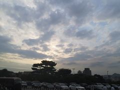 -新罗免税店(首尔总店)