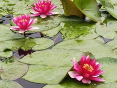 -宁波九龙湖开元度假村