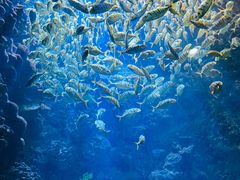 -海合安青岛极地海洋公园