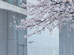 -龙美术馆(西岸馆)