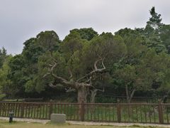 -草庵摩尼教遗址公园