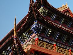 -东莞市大岭山森林公园
