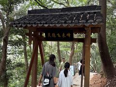 -灵顺寺
