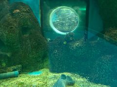 -大明湖海底世界