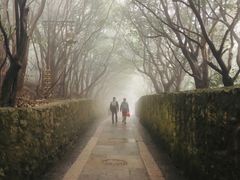 -普陀山风景区-佛顶山