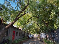 -VOYAGE COFFEE(北锣鼓巷店)