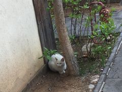 -金石唐风国际温泉会馆