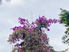 -海天堂构