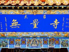 -大召无量寺