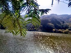 -秦岭终南山世界地质公园翠华山景区