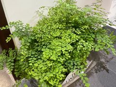 -100家灵感仓库·DIY团建(什刹海店)