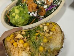 -油梨树AVOCADO TREE(望京店)