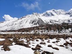 -亚拉雪山风景区
