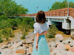 -宝安西湾红树林湿地公园