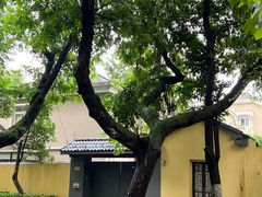 -颐和路民国时期公馆风貌区