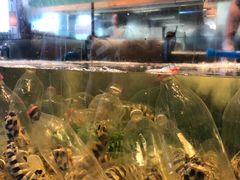 -Isla Sugbu Seafood City