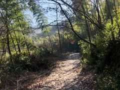 -会稽山峡洞漂流-上青古道