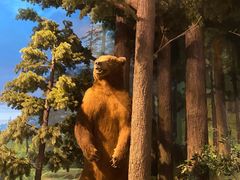 -陕西自然博物馆