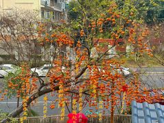 -田园印象·成都土菜院子(华阳店)