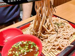 冷荞麦面-爱蝦乃家(金虹桥店)