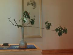 -乐领拈花溪·林涧食韵