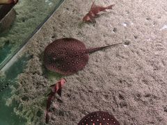 -台州海洋世界
