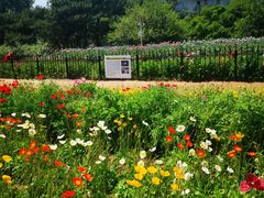 -国家植物园南园