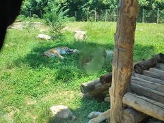 -西安秦岭野生动物园